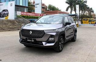 国产骏,传承与创新中的骏马传奇