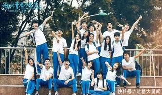 国产校园电影,国产校园电影的青春旋律与成长足迹